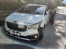 
										KIA CARNIVAL full									