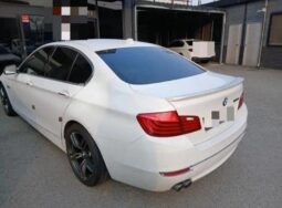 
										BMW 520d full									