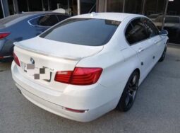 
										BMW 520d full									