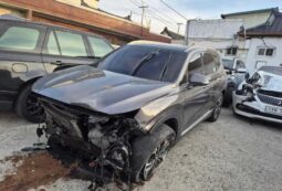 
										HYUNDAI SANTA FE full									