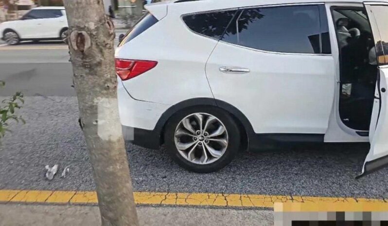 
								HYUNDAI SANTA FE full									