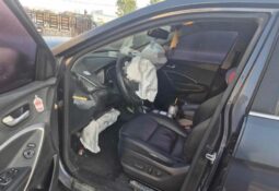 
										HYUNDAI SANTA FE full									