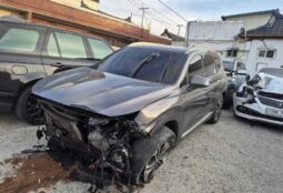 
										HYUNDAI SANTA FE full									