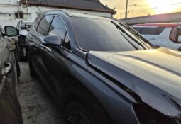
										HYUNDAI SANTA FE full									