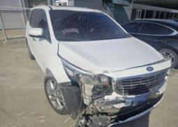 
										KIA CARNIVAL full									