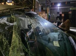 
										HYUNDAI SANTA FE full									