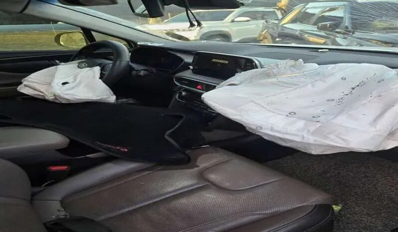 
								HYUNDAI SANTA FE full									