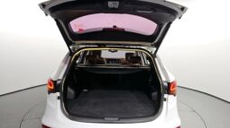 
										HYUNDAI SANTA FE full									