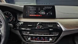 
										BMW 520d full									