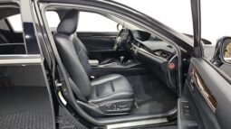 
										LEXUS ES300h full									