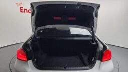 
										BMW 520d Xdrive full									