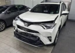 
										TOYOTA RAV 4 HV full									
