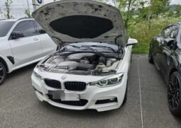 
										BMW 320i full									