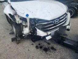 
										HYUNDAI SANTA FE full									