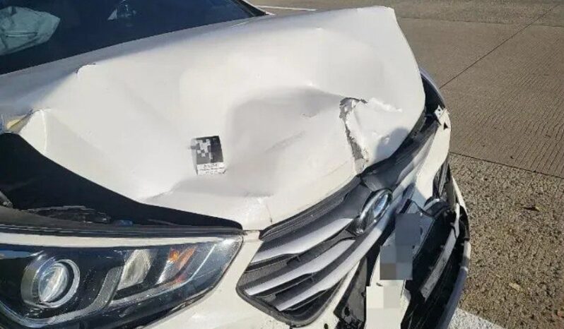 
								HYUNDAI SANTA FE full									