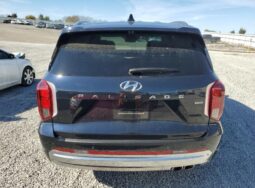 
										HYUNDAI PALISADE full									