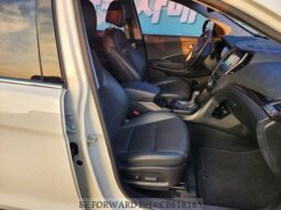 
										HYUNDAI MAXCRUZ full									