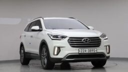 
										HYUNDAI MAXCRUZ full									