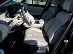 
										HYUNDAI PALISADE full									