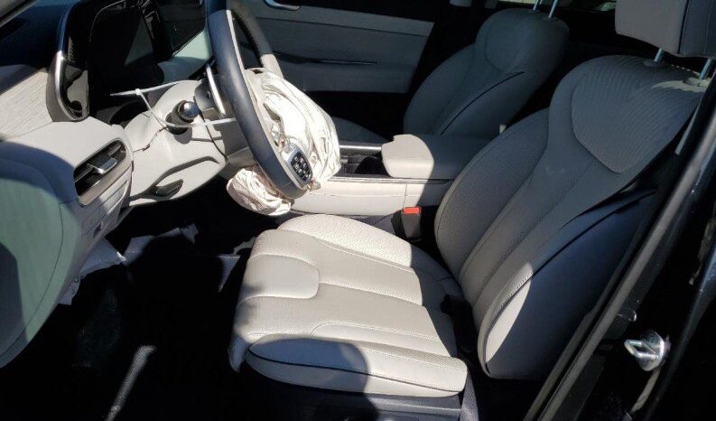 
								HYUNDAI PALISADE full									