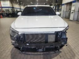 
										HYUNDAI SANTA FE full									