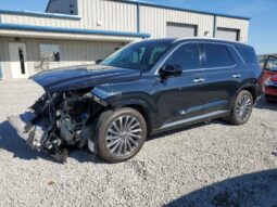 
										HYUNDAI PALISADE full									