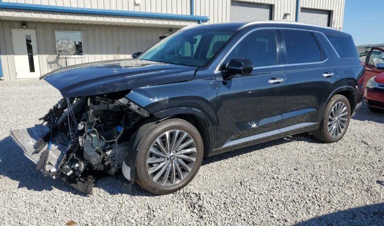 
								HYUNDAI PALISADE full									