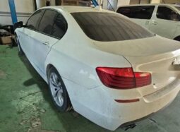 
										BMW 520d Xdrive full									