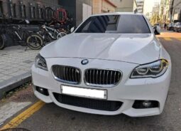 
										BMW 520d full									
