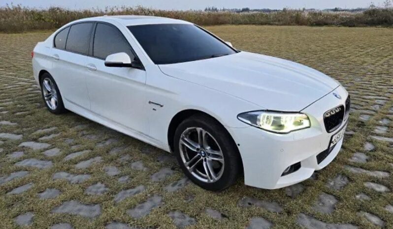 
								BMW 520d full									