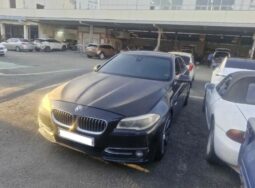 
										BMW 520d full									