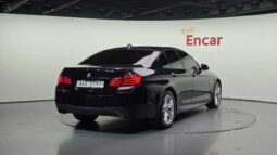 
										BMW 520d full									