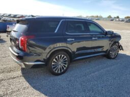 
										HYUNDAI PALISADE full									