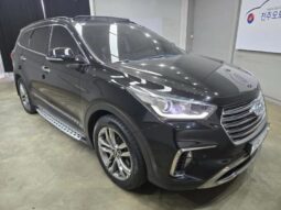 
										HYUNDAI MAXCRUZ full									