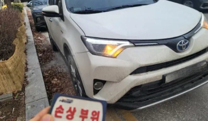 
								Toyota Rav 4 HV full									