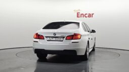 
										BMW 520d full									