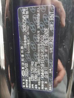 
										HYUNDAI PALISADE full									