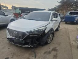 
										HYUNDAI Tucson full									