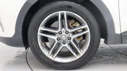 
										HYUNDAI MAXCRUZ full									