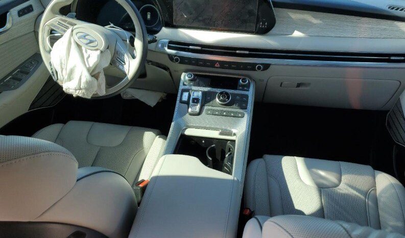 
								HYUNDAI PALISADE full									