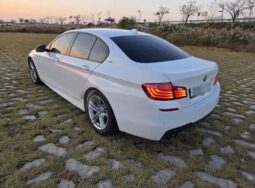 
										BMW 520d full									