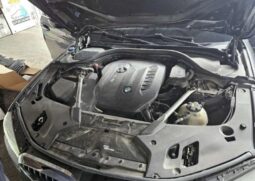 
										BMW 530d full									