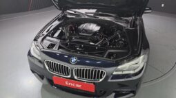 
										BMW 520d full									