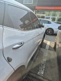 
										HYUNDAI SANTA FE full									