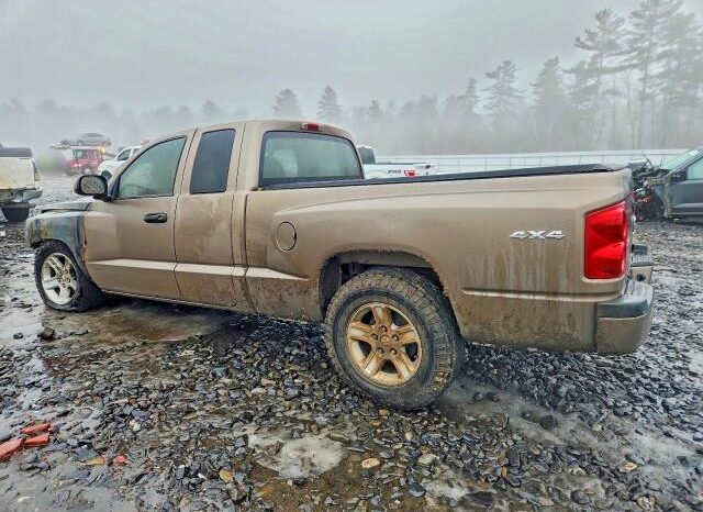 
								2010 Dodge Dakota full									
