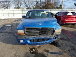 
										1999 Dodge Dakota full									