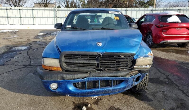 
								1999 Dodge Dakota full									