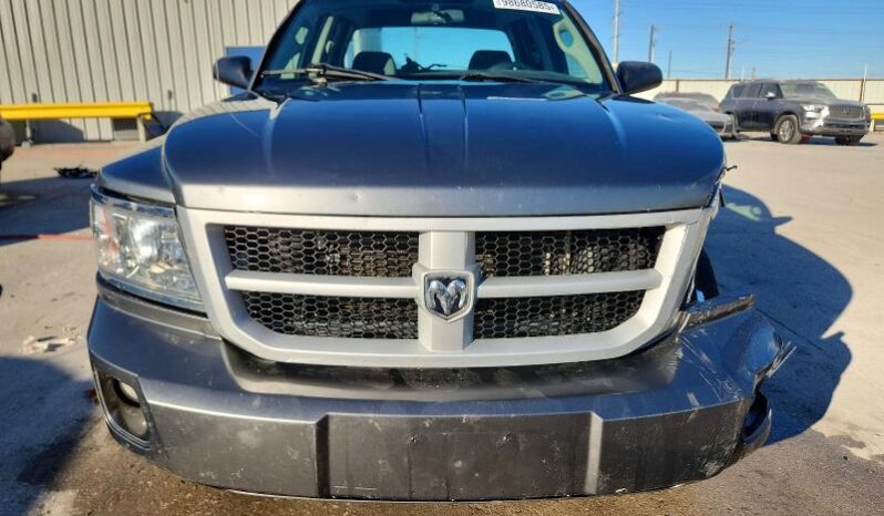 
								2011 Dodge Dakota full									