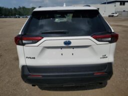 
										2019 Toyota Rav4 full									