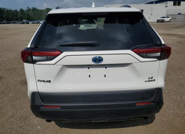 
								2019 Toyota Rav4 full									